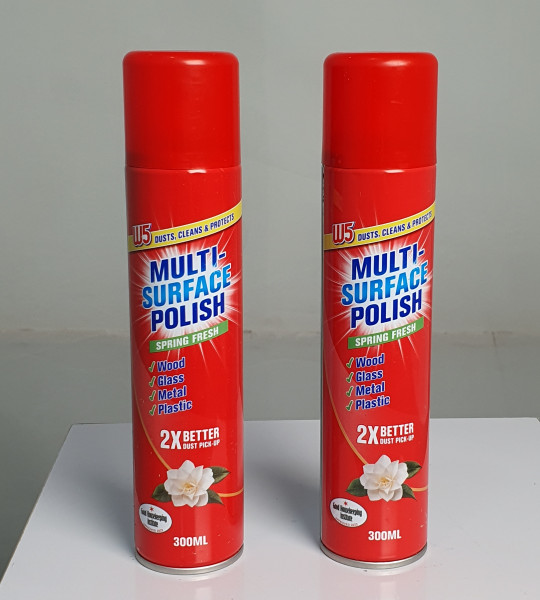 W5 MULTI SURFACE POLISH